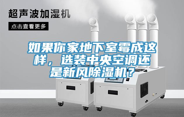 如果你家地下室霉成這樣，選裝中央空調還是新風除濕機？