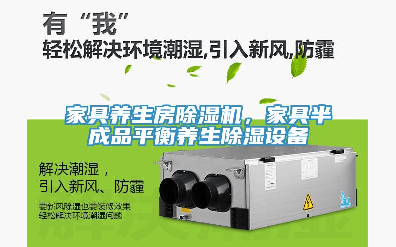 家具養(yǎng)生房除濕機(jī)，家具半成品平衡養(yǎng)生除濕設(shè)備