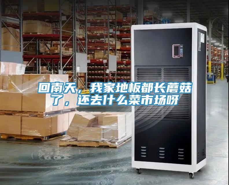 回南天，我家地板都長(zhǎng)蘑菇了，還去什么菜市場(chǎng)呀