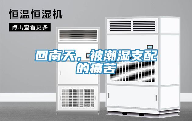 回南天，被潮濕支配的痛苦