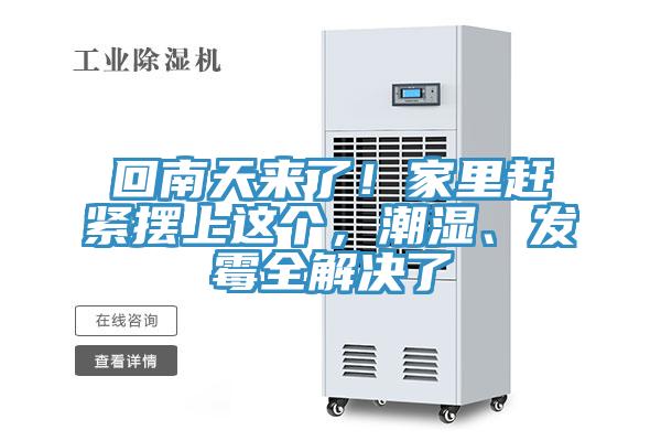 回南天來(lái)了！家里趕緊擺上這個(gè)，潮濕、發(fā)霉全解決了