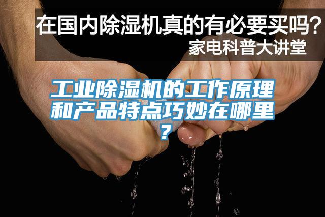工業(yè)除濕機(jī)的工作原理和產(chǎn)品特點巧妙在哪里？