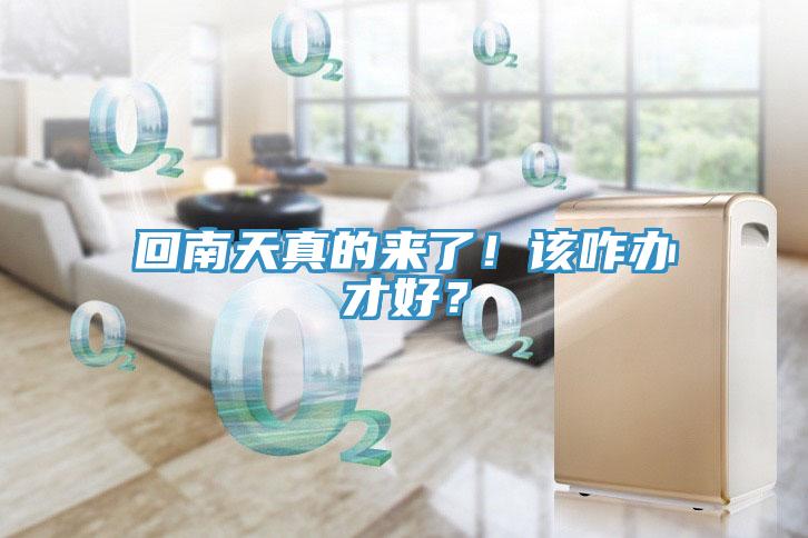 回南天真的來了！該咋辦才好？