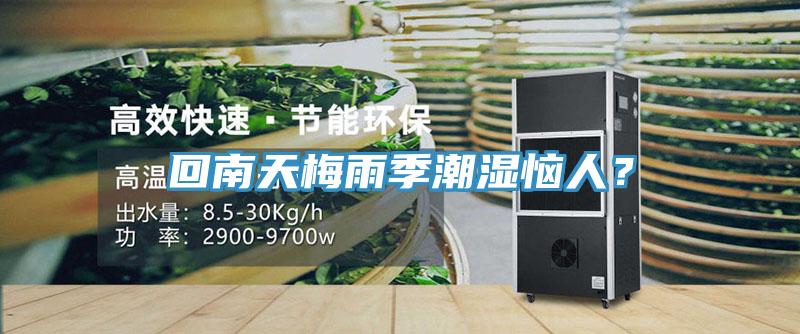 回南天梅雨季潮濕惱人？
