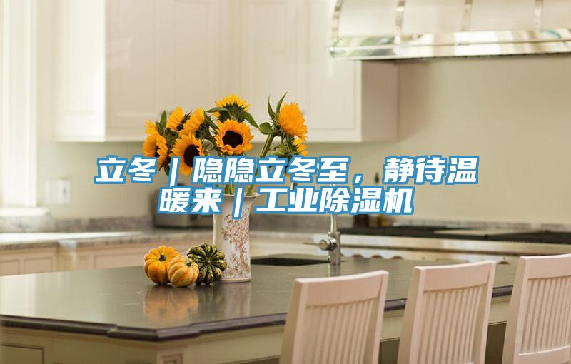 立冬｜隱隱立冬至，靜待溫暖來｜工業(yè)除濕機