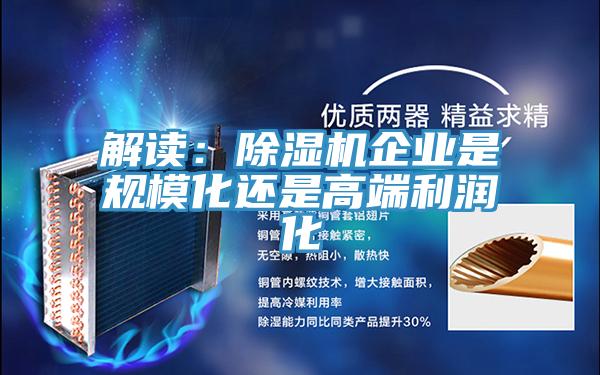 解讀：除濕機(jī)企業(yè)是規(guī)?；€是高端利潤(rùn)化