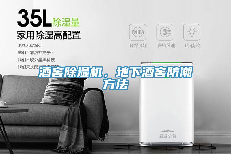 酒窖除濕機(jī)，地下酒窖防潮方法