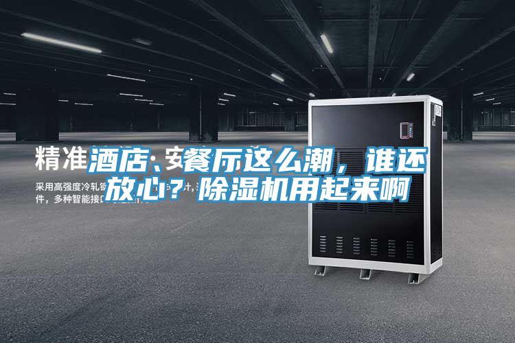 酒店、餐廳這么潮，誰還放心？除濕機用起來啊