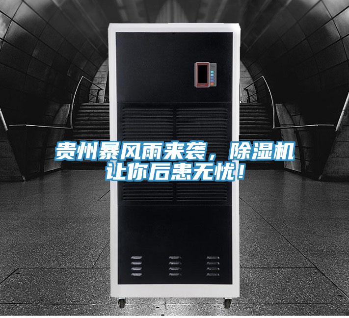 貴州暴風(fēng)雨來襲，除濕機(jī)讓你后患無憂！