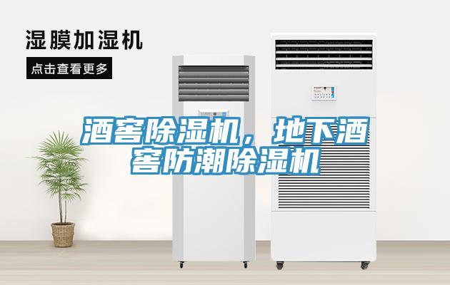 酒窖除濕機(jī)，地下酒窖防潮除濕機(jī)