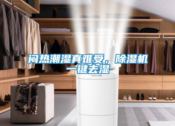 悶熱潮濕真難受，除濕機一鍵去濕