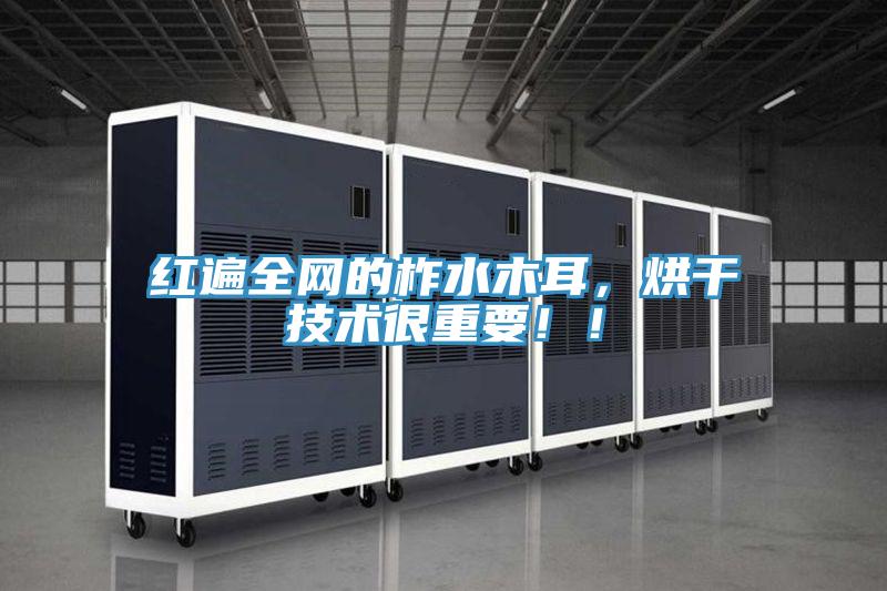 紅遍全網的柞水木耳，烘干技術很重要??！