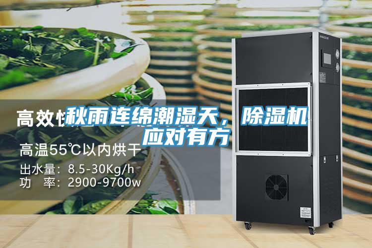 秋雨連綿潮濕天，除濕機應對有方