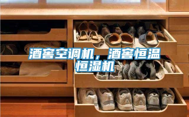 酒窖空調(diào)機(jī)，酒窖恒溫恒濕機(jī)