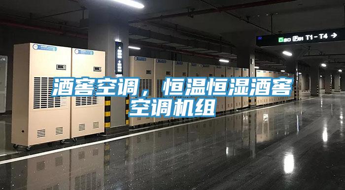 酒窖空調(diào)，恒溫恒濕酒窖空調(diào)機(jī)組