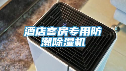 酒店客房專(zhuān)用防潮除濕機(jī)