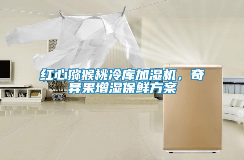 紅心獼猴桃冷庫(kù)加濕機(jī)，奇異果增濕保鮮方案