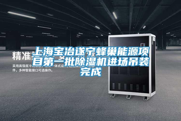 上海寶冶遂寧蜂巢能源項目第一批除濕機(jī)進(jìn)場吊裝完成