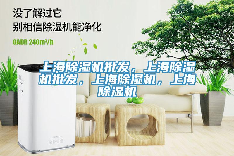 上海除濕機(jī)批發(fā)，上海除濕機(jī)批發(fā)，上海除濕機(jī)，上海除濕機(jī)