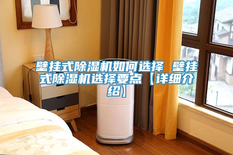 壁掛式除濕機(jī)如何選擇 壁掛式除濕機(jī)選擇要點【詳細(xì)介紹】