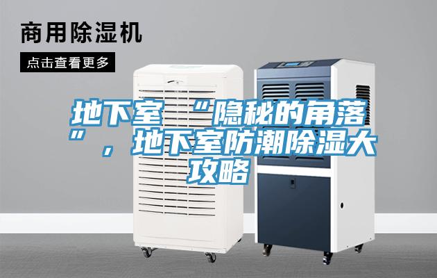 地下室≠“隱秘的角落”，地下室防潮除濕大攻略