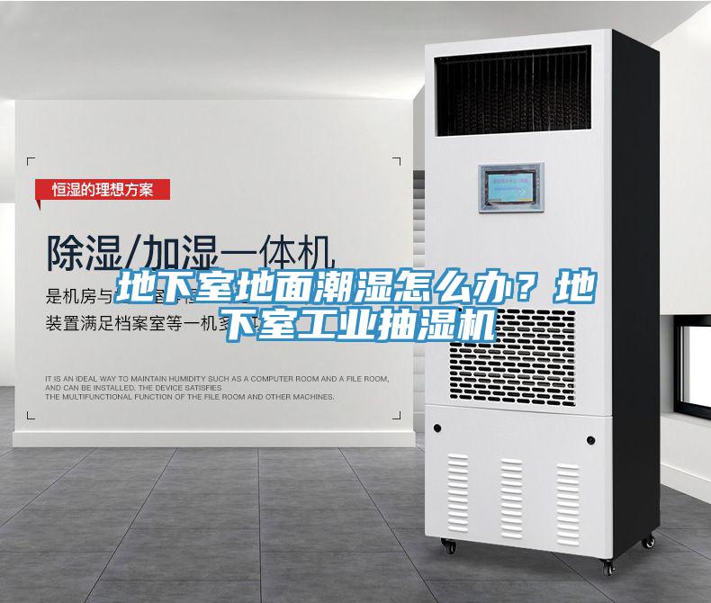 地下室地面潮濕怎么辦？地下室工業(yè)抽濕機