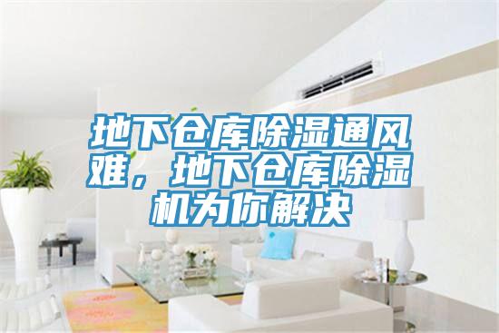地下倉庫除濕通風(fēng)難，地下倉庫除濕機(jī)為你解決
