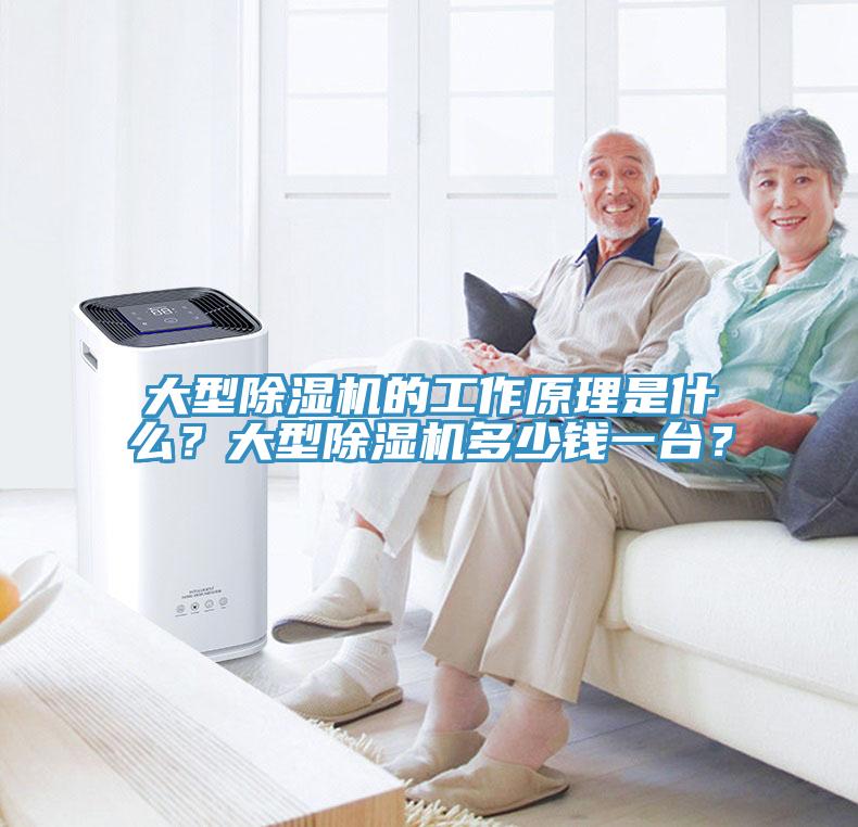 大型除濕機(jī)的工作原理是什么？大型除濕機(jī)多少錢一臺？