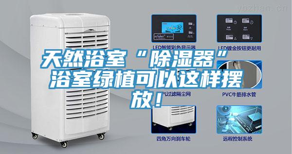 天然浴室“除濕器” 浴室綠植可以這樣擺放！