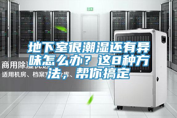 地下室很潮濕還有異味怎么辦？這8種方法，幫你搞定