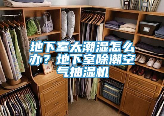 地下室太潮濕怎么辦？地下室除潮空氣抽濕機
