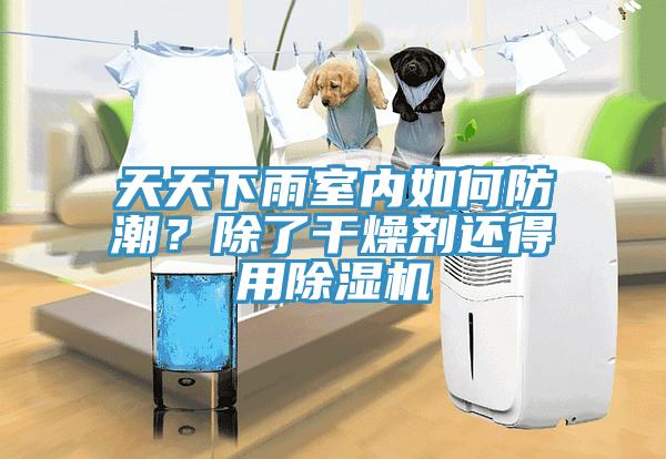 天天下雨室內(nèi)如何防潮？除了干燥劑還得用除濕機