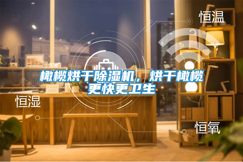 橄欖烘干除濕機(jī)，烘干橄欖更快更衛(wèi)生