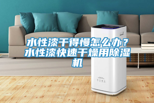 水性漆干得慢怎么辦？水性漆快速干燥用除濕機(jī)