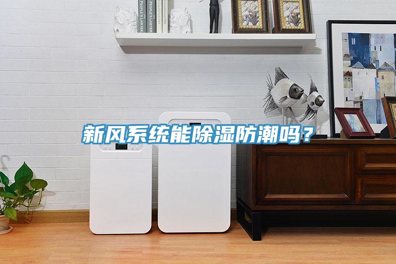 新風(fēng)系統(tǒng)能除濕防潮嗎？