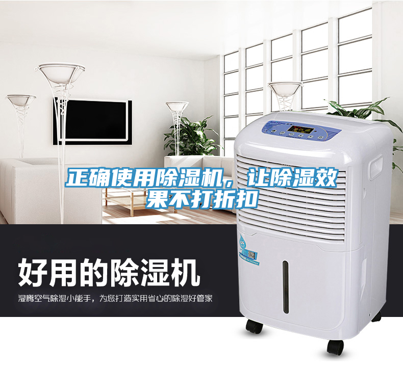 正確使用除濕機，讓除濕效果不打折扣