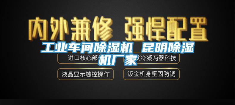 工業(yè)車(chē)間除濕機(jī) 昆明除濕機(jī)廠家