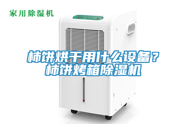 柿餅烘干用什么設(shè)備？柿餅烤箱除濕機