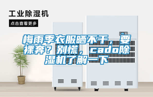 梅雨季衣服曬不干，要裸奔？別慌，cado除濕機(jī)了解一下