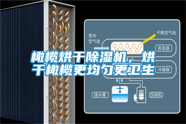 橄欖烘干除濕機(jī)，烘干橄欖更均勻更衛(wèi)生