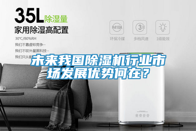 未來我國除濕機行業(yè)市場發(fā)展優(yōu)勢何在？