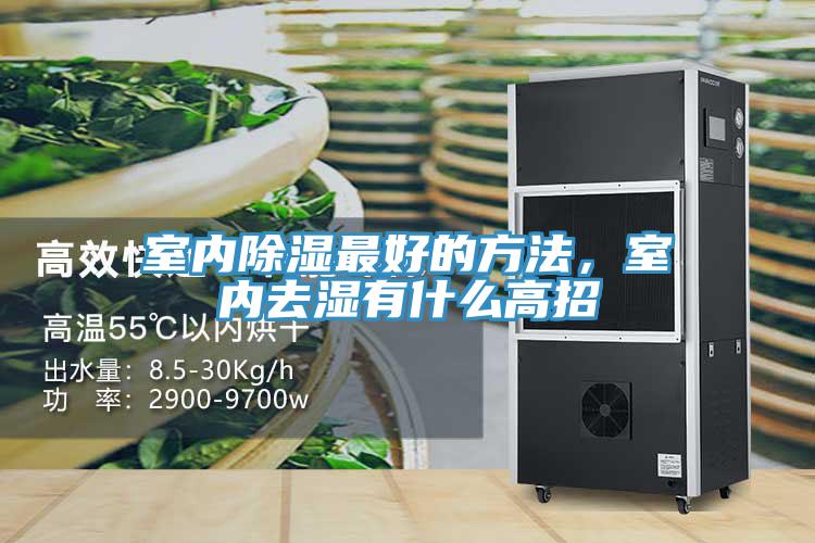 室內(nèi)除濕最好的方法，室內(nèi)去濕有什么高招