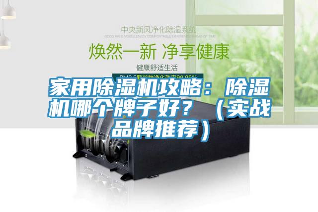 家用除濕機攻略：除濕機哪個牌子好？（實戰(zhàn)品牌推薦）