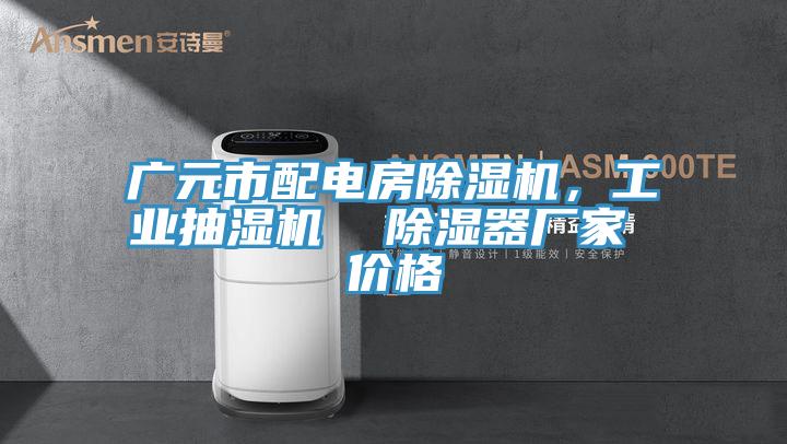 廣元市配電房除濕機(jī)，工業(yè)抽濕機(jī)  除濕器廠家 價(jià)格
