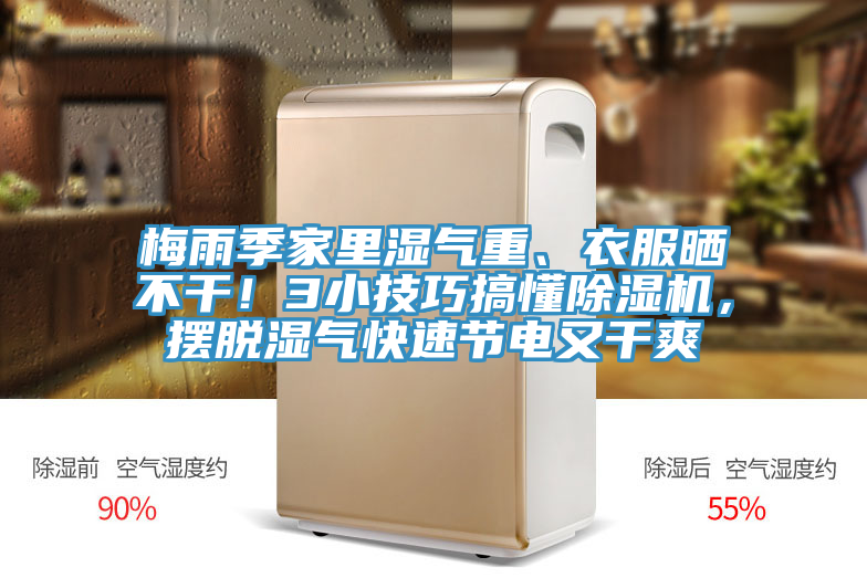 梅雨季家里濕氣重、衣服曬不干！3小技巧搞懂除濕機，擺脫濕氣快速節(jié)電又干爽