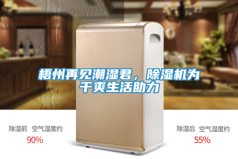 梧州再見潮濕君，除濕機(jī)為干爽生活助力