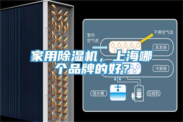 家用除濕機(jī)，上海哪個(gè)品牌的好？