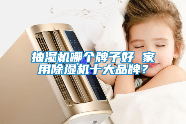 抽濕機(jī)哪個牌子好 家用除濕機(jī)十大品牌？