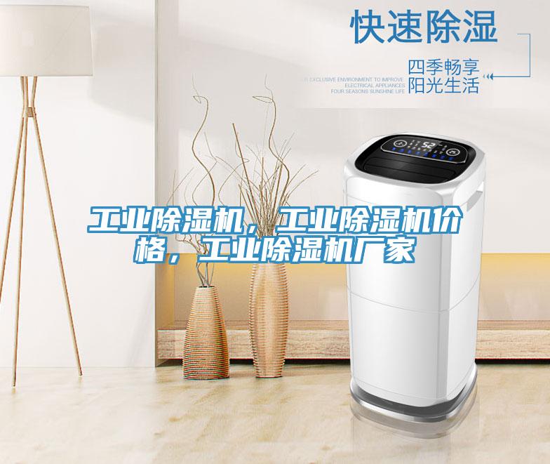 工業(yè)除濕機(jī)，工業(yè)除濕機(jī)價格，工業(yè)除濕機(jī)廠家