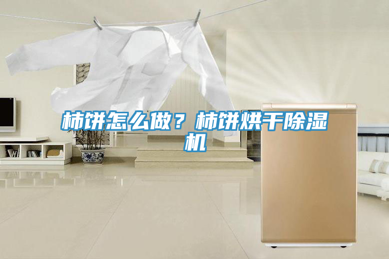 柿餅怎么做？柿餅烘干除濕機